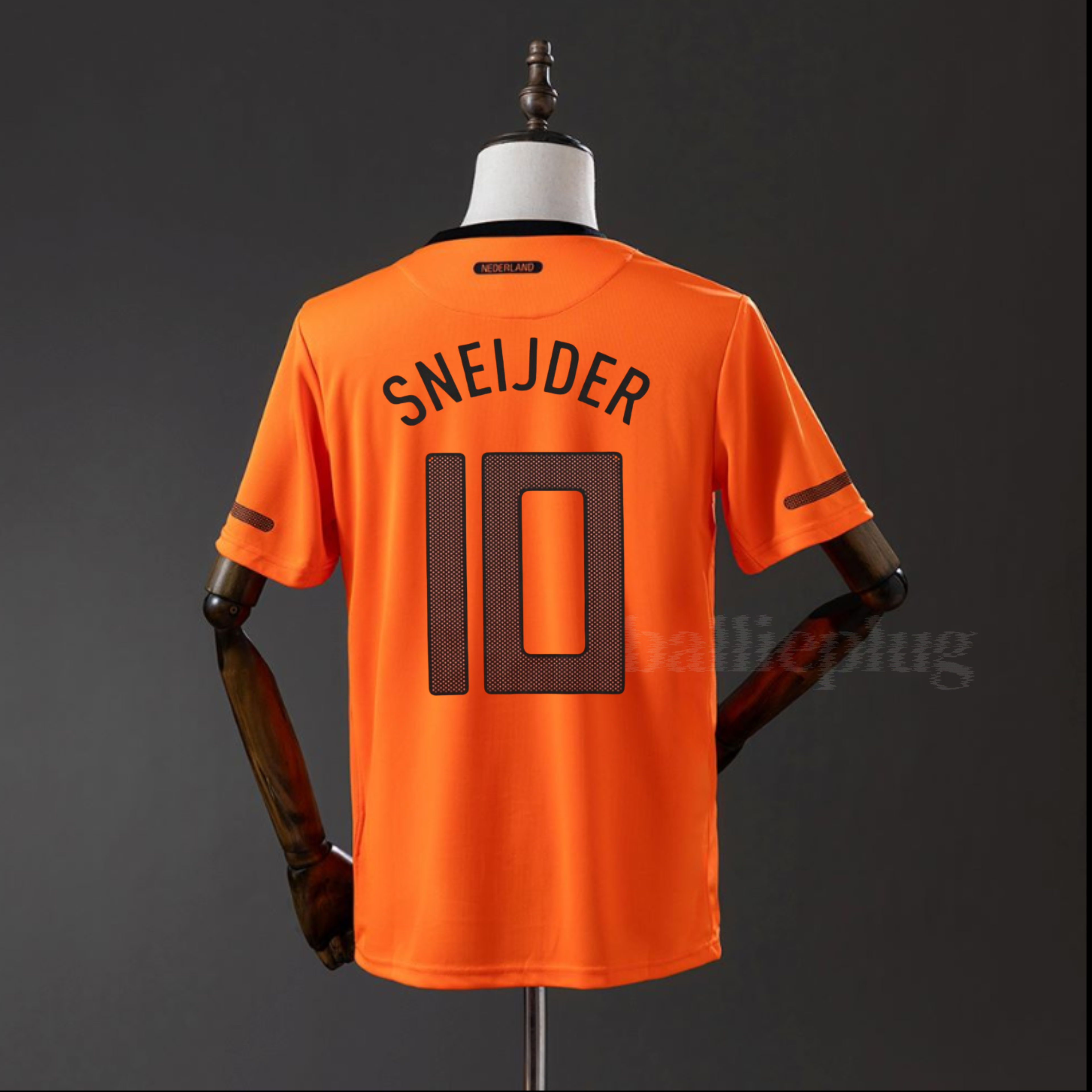 Nederland Home 2010