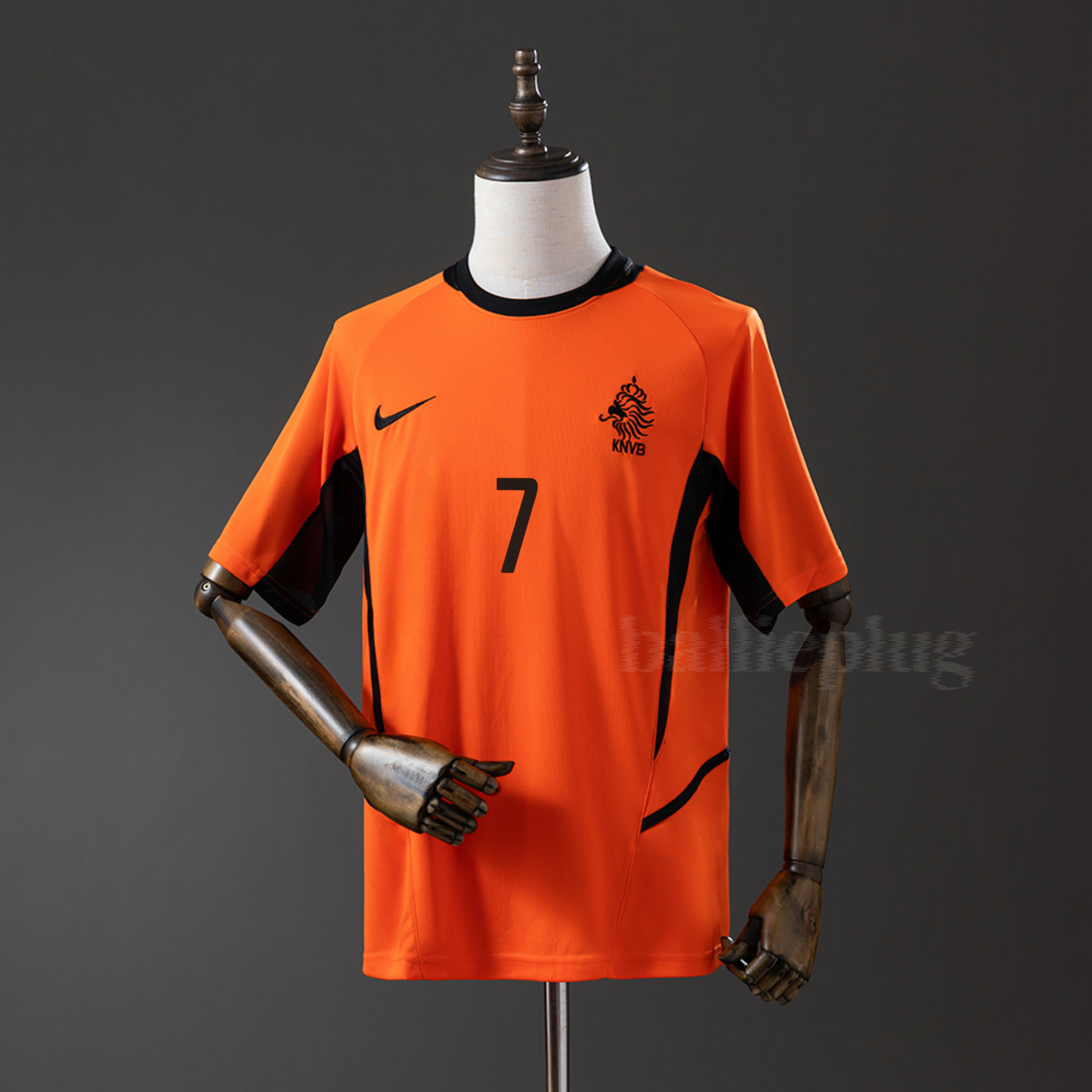 Nederland Home 2002