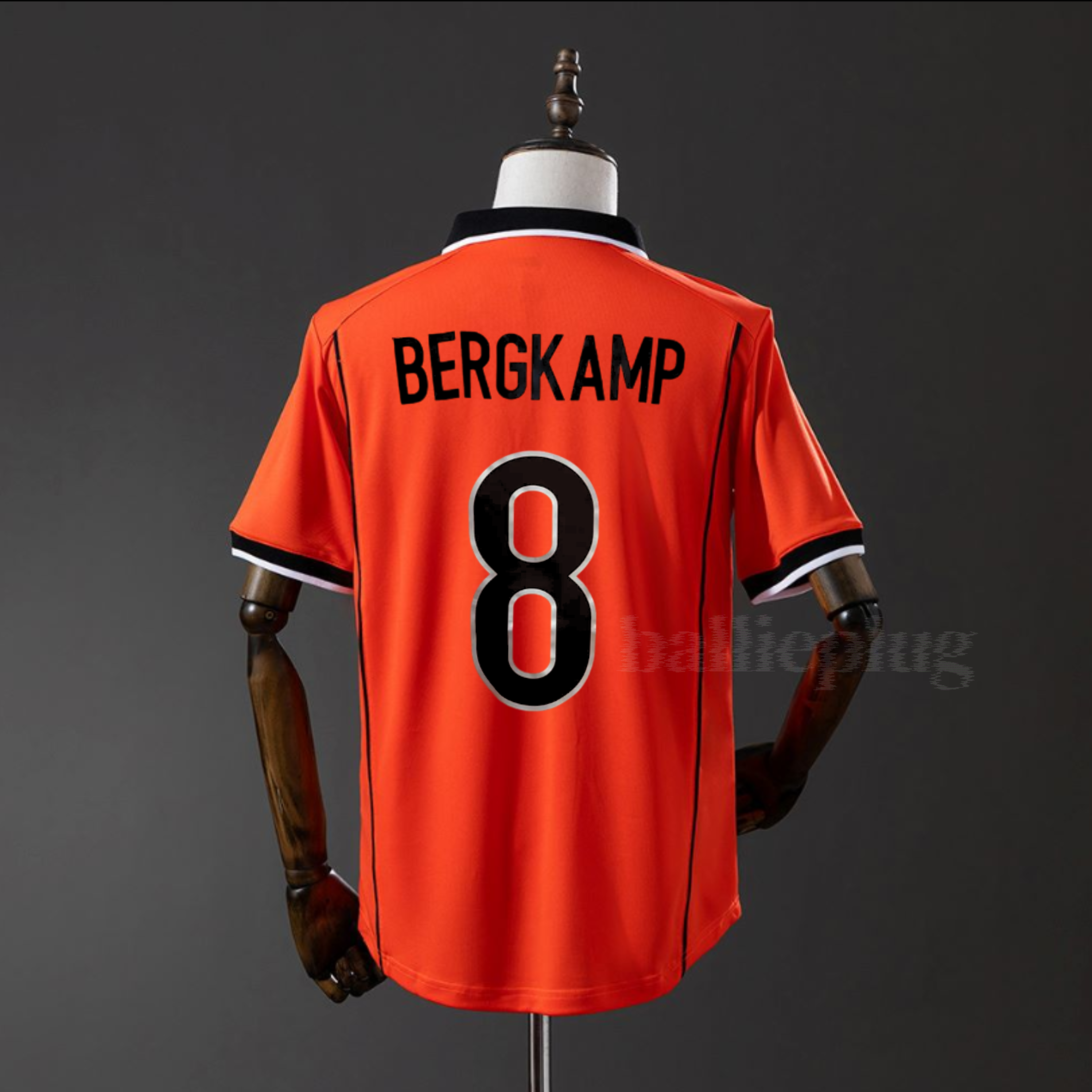 Nederland Home 1998