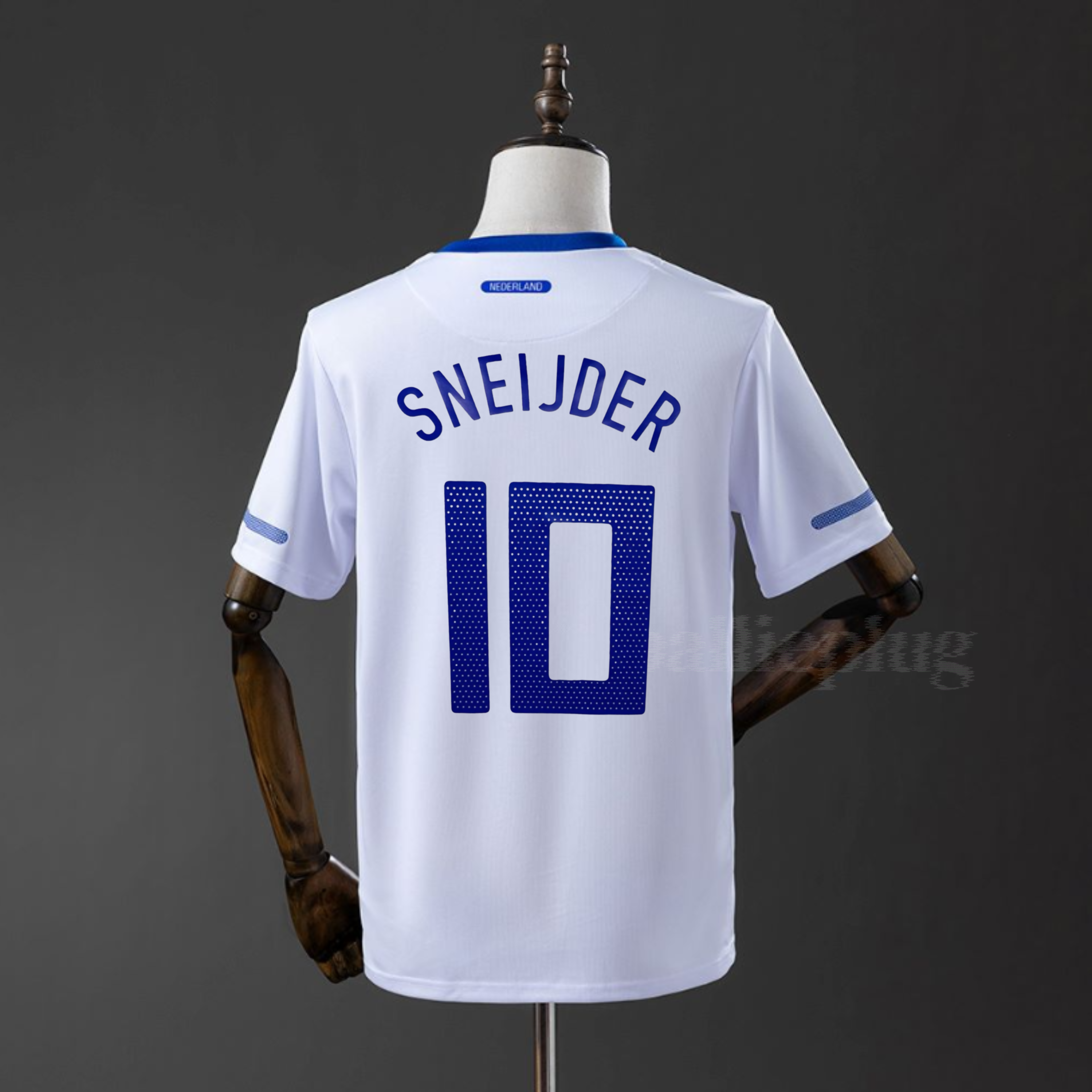 Nederland Away 2010