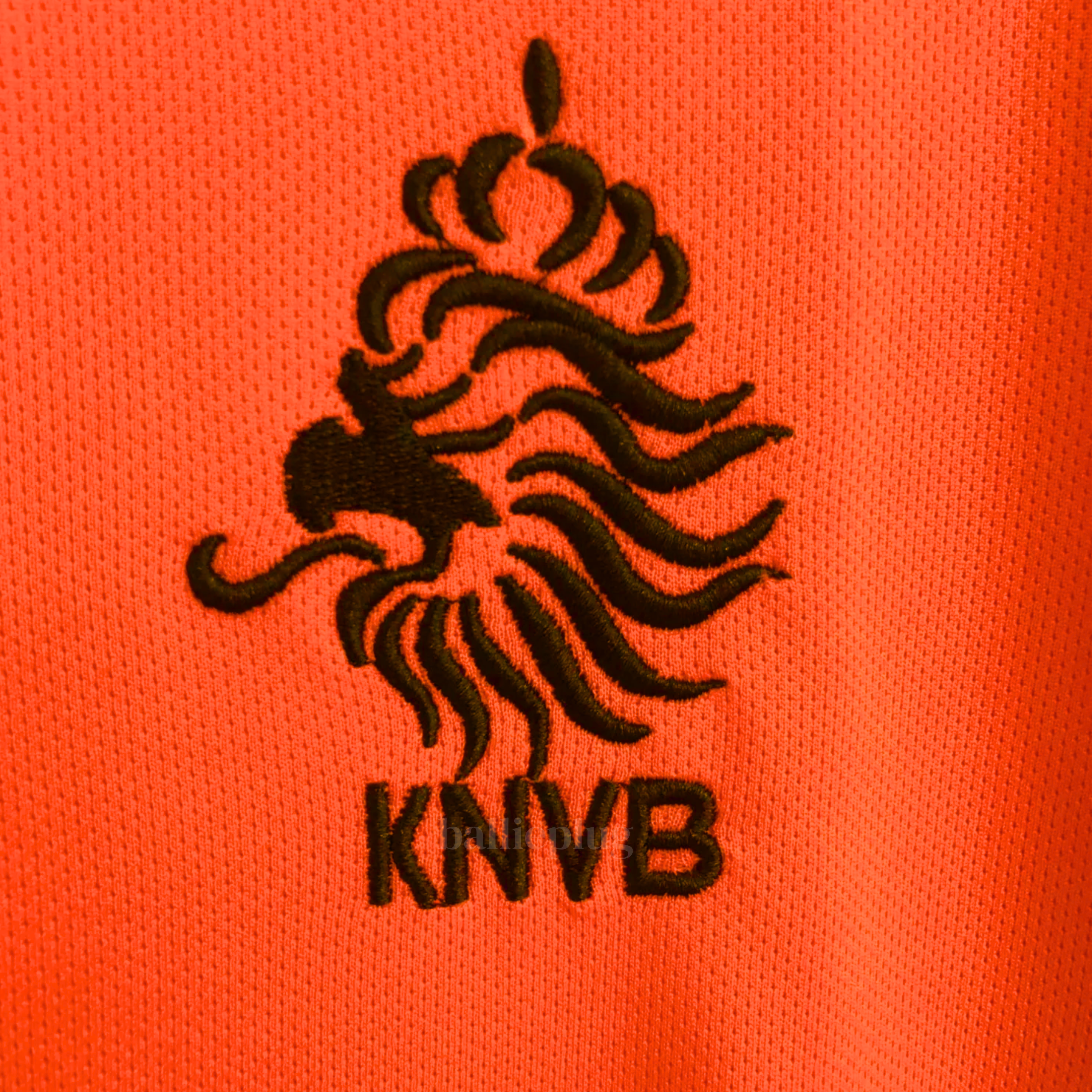 Nederland Home 1998