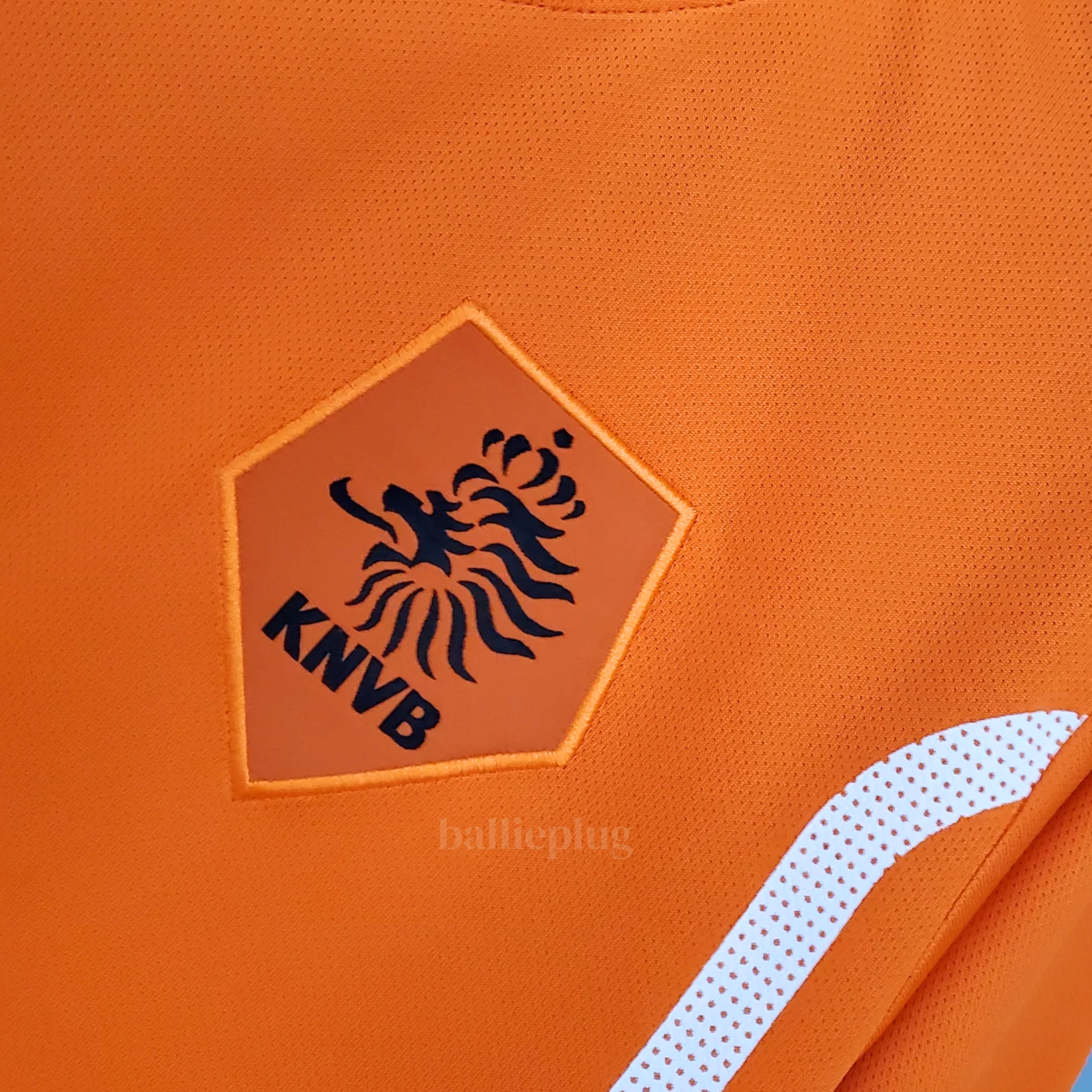 Nederland Home 2010
