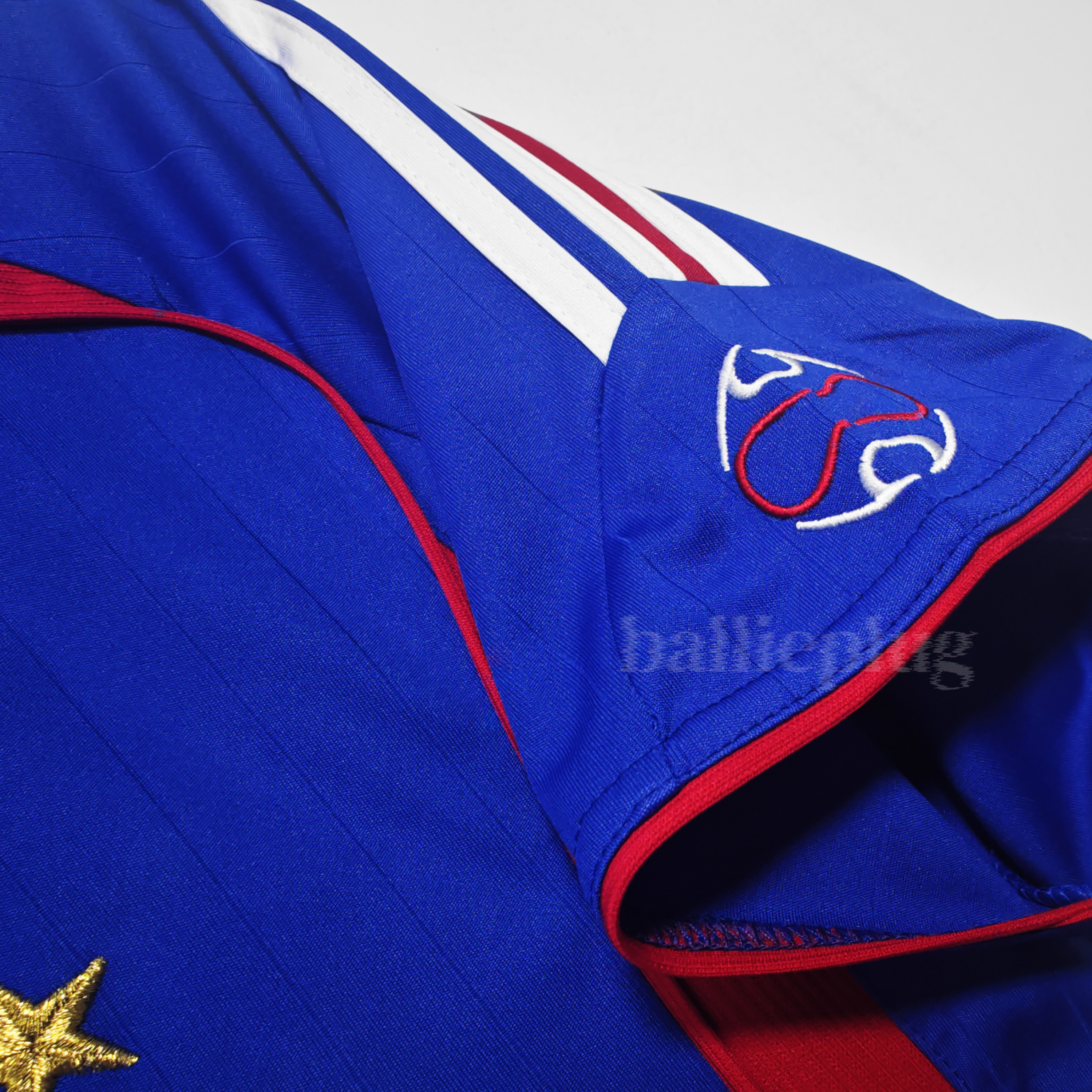 France Home 2006